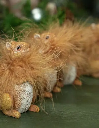 Eichhörnchen mit fluffigem Pelz