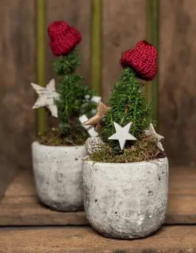 Putzige Wichtel im Topf