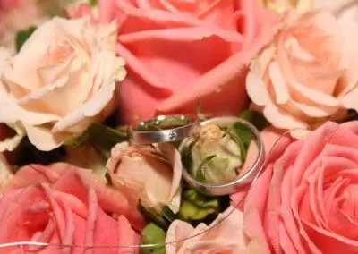 Ringkissen Rosa Rosen