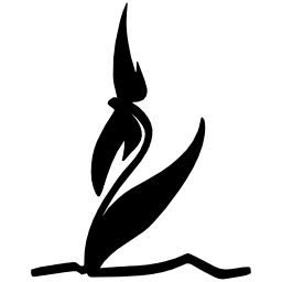 Blumen Kaimer